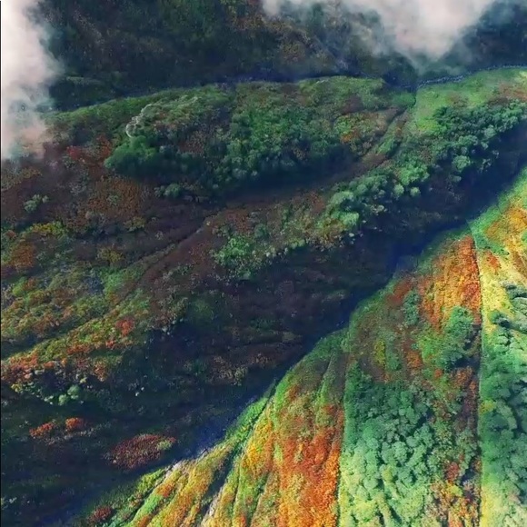 Meet your Posher, Jettaleek - Picture 3 of 4